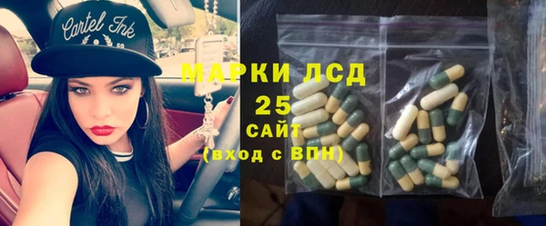 ALPHA-PVP Богородицк