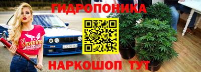 метадон Моздок