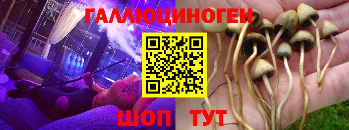 Псилоцибиновые грибы прущие грибы  Галлюциногенные грибы мухоморы  Вход с VPN  Вязьма 