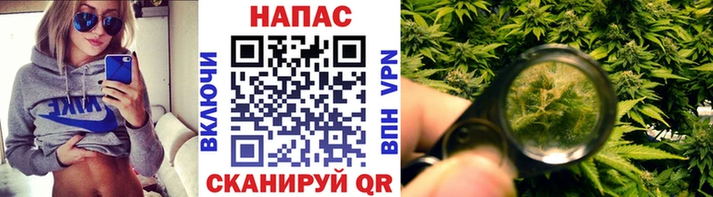 МАРИХУАНА Amnesia  ОМГ ОМГ как войти  Вязьма  где продают наркотики 