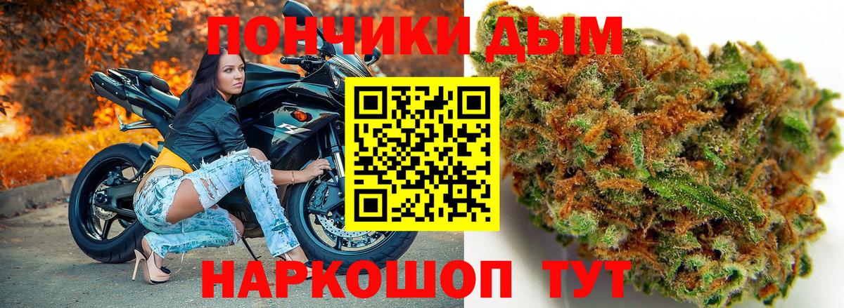 Бошки Шишки план Вязьма